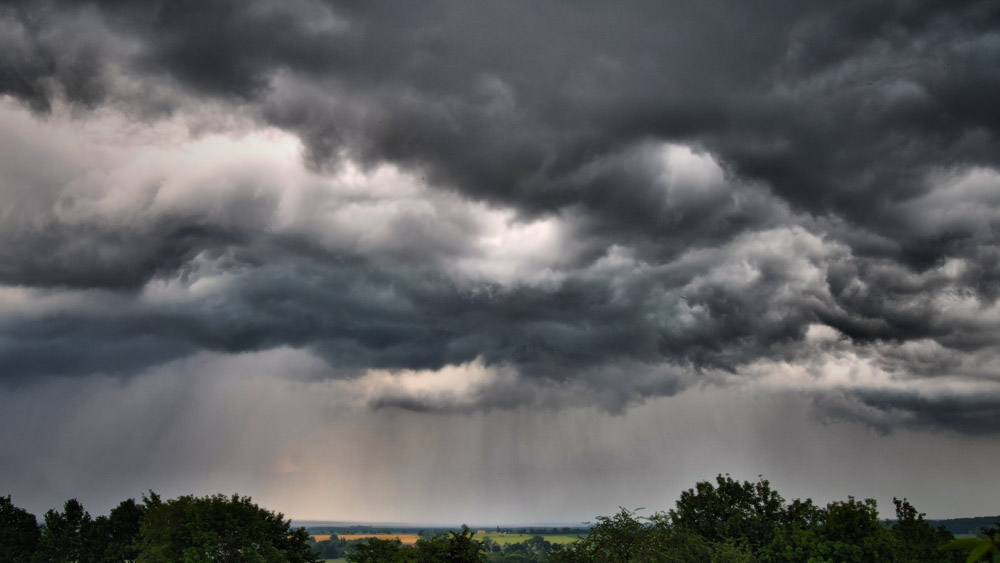 Platz 7 Harald Unglert